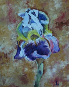 Irisas