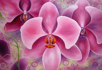 Orchidėjos sapnas